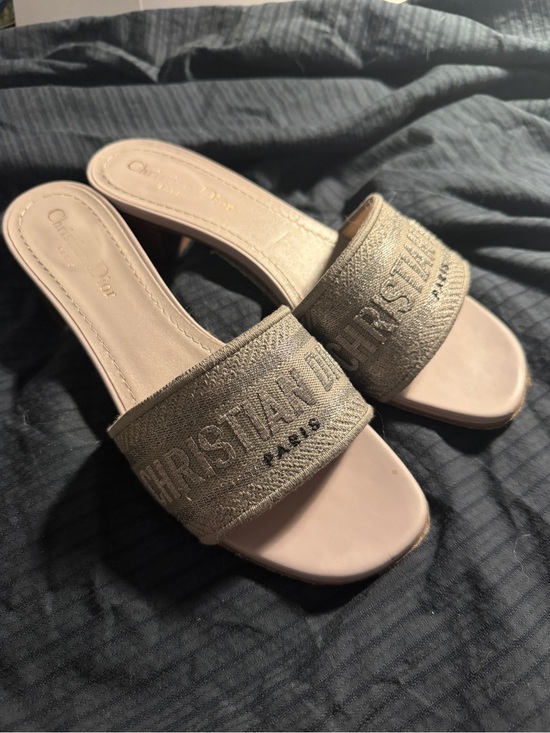 Dior Shoes - Dior Beige Embroidered Slide Mules